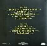 Iggy Pop – Post Pop Depression LP Plak - Görsel 2