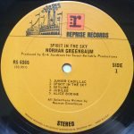 Norman Greenbaum – Spirit In The Sky LP Plak - Görsel 3