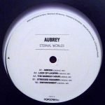 Aubrey – Eternal Worlds 12'' Maxi Single Plak (Deep House) - Görsel 2