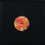 Denis Kaznacheev – My Own Garden 12'' Maxi Single Plak (Minimal Techno) - Görsel 2