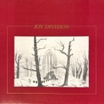 Joy Division – Shadowplay LP Plak