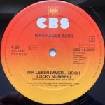 Nina Hagen Band – African Reggae 12'' Maxi Single Plak - Görsel 4