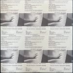 Michele Mercure – Beside Herself 2LP Plak - Görsel 2