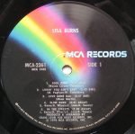 Lisa Burns LP Plak - Görsel 3