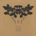 Numerous Agnomens Vol.III 2x12'' Maxi Single Plak (Tech House) - Görsel 2
