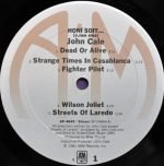 John Cale – Honi Soit LP Plak - Görsel 6