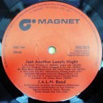 J.A.L.N. Band – Just Another Lonely Night LP Plak - Görsel 4