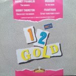 12 Inch Gold 12" Maxi Single Plak