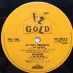 12 Inch Gold 12" Maxi Single Plak - Görsel 3
