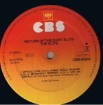 The Slits – Return Of The Giant Slits LP Plak - Görsel 6