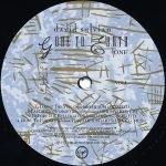 David Sylvian – Gone To Earth 2LP Plak - Görsel 4