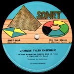 Charles Tyler Ensemble – Folk And Mystery Stories LP Plak - Görsel 4