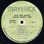 Dennis Coffey Trio – Hair And Thangs LP Plak - Görsel 4