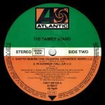 The Family Stand – In Summer I Fall 12'' Maxi Single Plak - Görsel 4