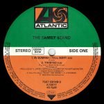 The Family Stand – In Summer I Fall 12'' Maxi Single Plak - Görsel 3