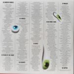 Amyl and The Sniffers – Comfort To Me 2LP Renkli Plak - Görsel 4