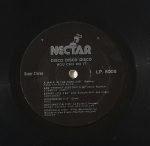 Disco Disco Disco LP Plak - Görsel 3