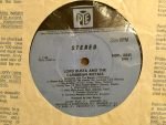 Lord Busta And The Caribbean Royals LP Plak - Görsel 3