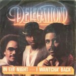 Delegation – In The Night / I Wantcha' Back 45lik Plak