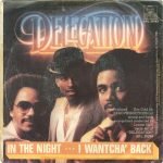 Delegation – In The Night / I Wantcha' Back 45lik Plak - Görsel 2