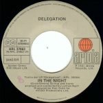 Delegation – In The Night / I Wantcha' Back 45lik Plak - Görsel 3