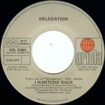 Delegation – In The Night / I Wantcha' Back 45lik Plak - Görsel 4