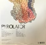 Pyrolator – Neuland LP Plak - Görsel 2