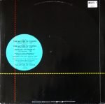 Narada Michael Walden – The Nature Of Things 12'' Maxi Single Plak - Görsel 2