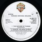 Narada Michael Walden – The Nature Of Things 12'' Maxi Single Plak - Görsel 3