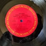 Devadip Carlos Santana & Turiya Alice Coltrane – Illuminations LP Plak - Görsel 3