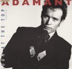 Adam Ant – Room At The Top 12'' Maxi Single Plak
