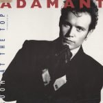 Adam Ant – Room At The Top 12'' Maxi Single Plak
