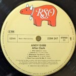 Andy Gibb – After Dark LP Plak - Görsel 3