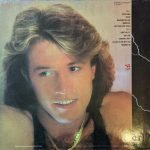 Andy Gibb – After Dark LP Plak - Görsel 2