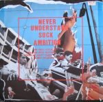 The Jesus And Mary Chain – Never Understand 12'' Maxi Single Plak - Görsel 2