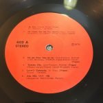 1976 Hit Discotheque Parade LP Plak - Görsel 3