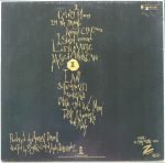 Kid Creole And The Coconuts – Fresh Fruit In Foreign Places LP Plak - Görsel 2