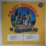 The Sandpebbles Of Barbados – Enjoy Yourself LP Plak - Görsel 2