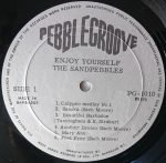The Sandpebbles Of Barbados – Enjoy Yourself LP Plak - Görsel 3