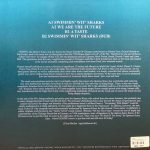 Gemini – Swimmin' Wit' Sharks EP 12'' Maxi Single Plak (Tech House) - Görsel 2