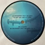 Gemini – Swimmin' Wit' Sharks EP 12'' Maxi Single Plak (Tech House) - Görsel 4