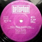 Paul J. Qualley – Please Please 12'' Maxi Single Plak - Görsel 3