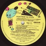 Hicks From The Sticks LP Plak - Görsel 4