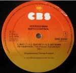 Birth Control – Hoodoo Man LP Plak - Görsel 3