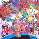 Senseless Things – The First Of Too Many LP Plak