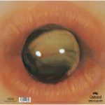 Tom Zé – Todos Os Olhos LP Plak - Görsel 3