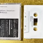 Alvars Orkester – Nuthull Kaset (Experimental)