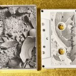 e.lse – no flowers Kaset (Ambient)