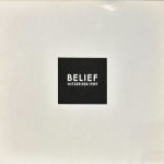 Nitzer Ebb ‎– Belief LP Plak