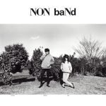 Non Band LP Plak